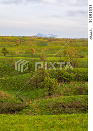 風景 風景 50891653
