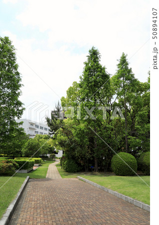 ノリタケの森（愛知県） 50894107