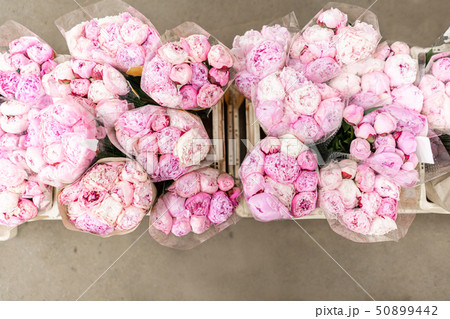 Warehouse refrigerator, Wholesale flowers for flower shops. Pink peonies in a plastic container or 50899442