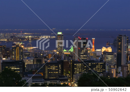ビーナスブリッジからみる神戸の夜景・ポートタワー ビーナスブリッジからみる神戸の夜景・ポートタワー 50902642