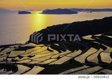 夕暮れの美しい土谷棚田  長崎県松浦市 50910812