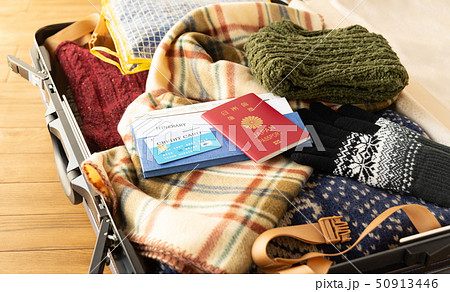 スーツケース　海外旅行保険付クレジットカード　冬　旅行　出張　パスポート　セーター 50913446
