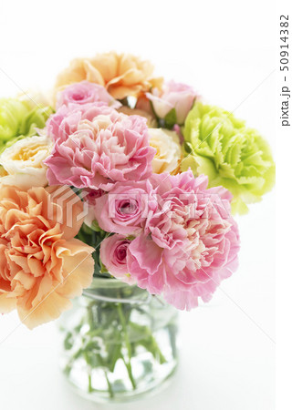 母の日　カーネーション 50914382