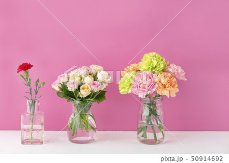 母の日　カーネーション 50914692