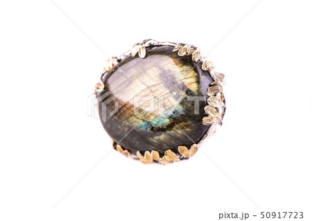 A stone a Labrador with gilded leaves on a frame 50917723