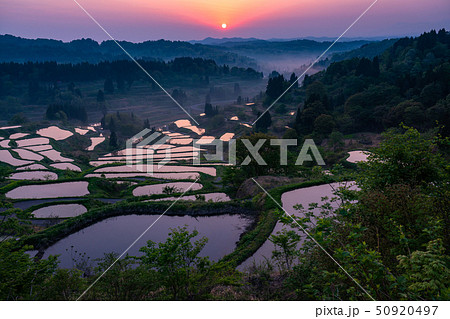 《新潟県》星峠の棚田・自然風景 50920497