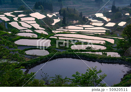 《新潟県》星峠の棚田・自然風景 50920511