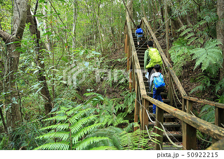 トレッキング 50922215