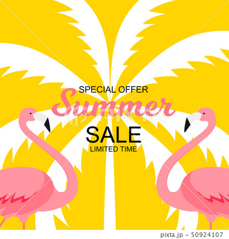 Summer Sale concept with Colorful Cartoon Pink Flamingo Background. Vector Illustration Summer Sale concept with Colorful Cartoon Pink Flamingo Background. Vector Illustration 50924107