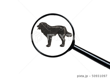 Silhouette of Caucasian Shepherd Dog on white background Silhouette of Caucasian Shepherd Dog on white background 50931097