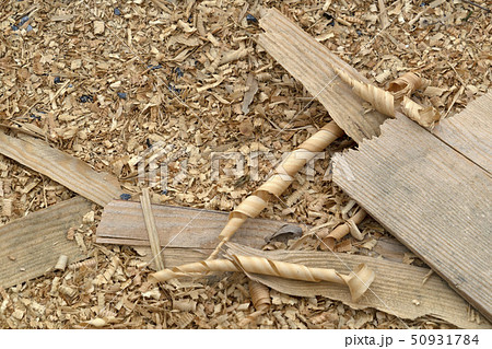 Wood chippings in sawmill detail 50931784