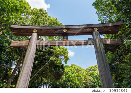 明治神宮　大鳥居　第二鳥居 50932341