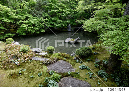 蓮華寺　池泉鑑賞式庭園 50944343