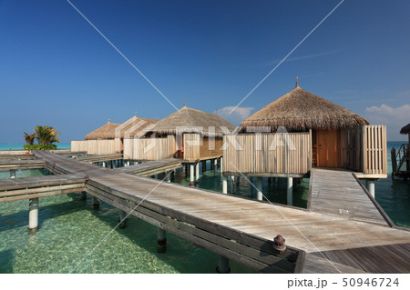 モルディブの水上ヴィラ 50946724