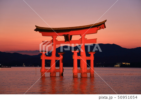 広島 厳島神社の鳥居のライトアップの写真素材