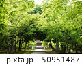 新緑のお寺 50951487
