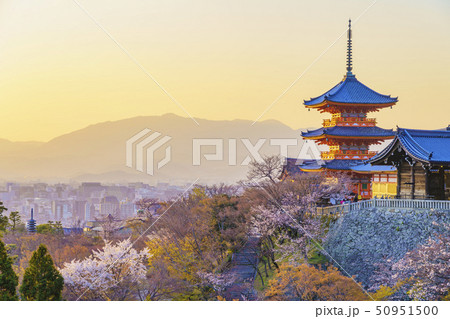 京都 春の清水寺 三重塔　　 50951500