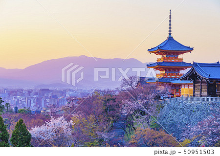 京都 春の清水寺 三重塔　　 50951503