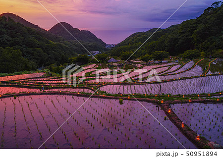 伊豆 石部の棚田 松崎 伊豆 石部の棚田 松崎 50951894