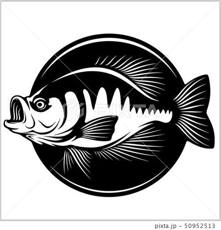 Fishing logo. Bass fish club emblem. Fishing - Stock