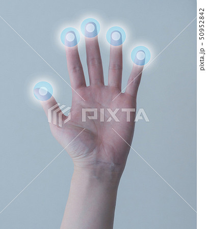 指紋認証 50952842