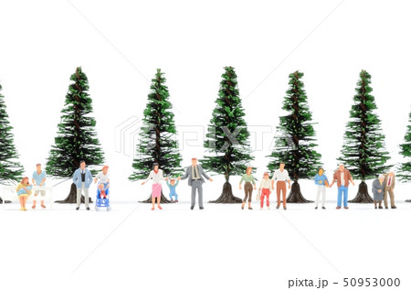 世代 世代 50953000