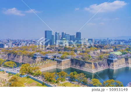 大阪　春の大阪城　 50953149