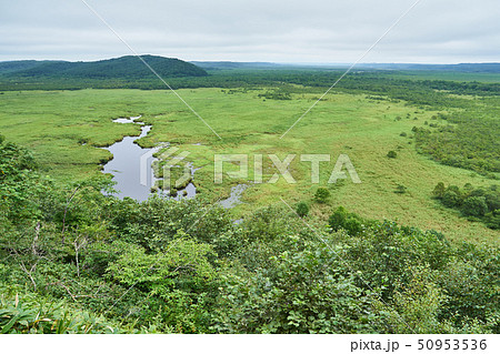 北海道 コッタロ湿原展望台からの景色 北海道 コッタロ湿原展望台からの景色 50953536