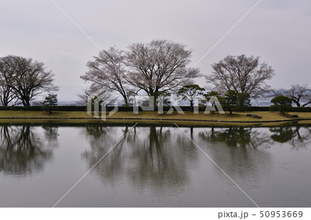 修学院離宮　上離宮　西浜 50953669