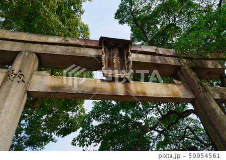 満足稲荷神社（京都） 50954561