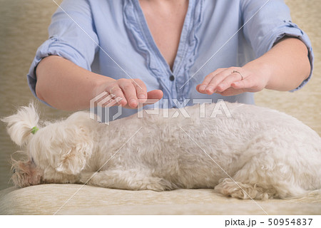Woman practicing reiki therapy 50954837