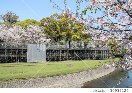 熊本城の長塀 熊本城の長塀 50955126