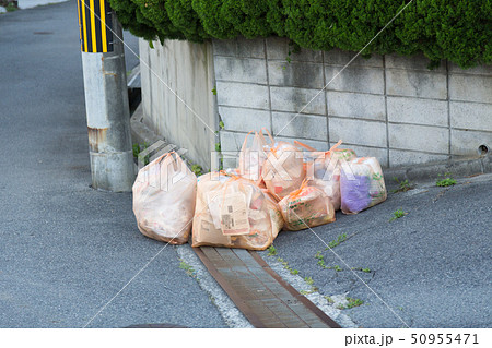 ゴミ捨て場 ゴミ捨て場 50955471