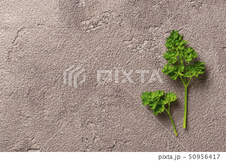 Culinary background with branch a parsley Culinary background with branch a parsley 50956417