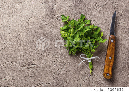 Culinary background with branch a parsley Culinary background with branch a parsley 50956594