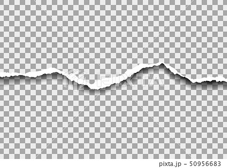 Realistic illustration of torn paper with space Realistic illustration of torn paper with space 50956683