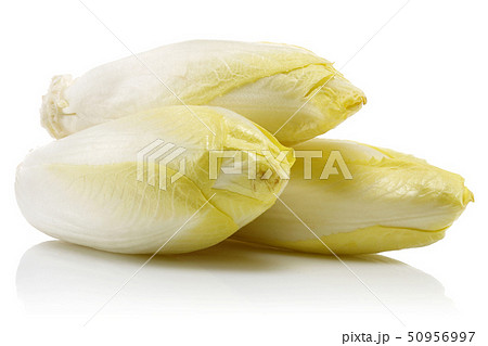 Fresh endive isolated on white Fresh endive isolated on white 50956997