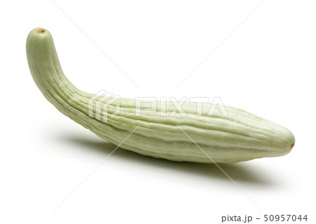 Single Armenian cucumber isolated on white Single Armenian cucumber isolated on white 50957044