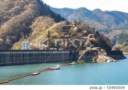 桜咲くころの奥多摩湖 桜咲くころの奥多摩湖 50960009
