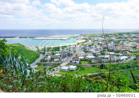 ティンダバナ 50960031