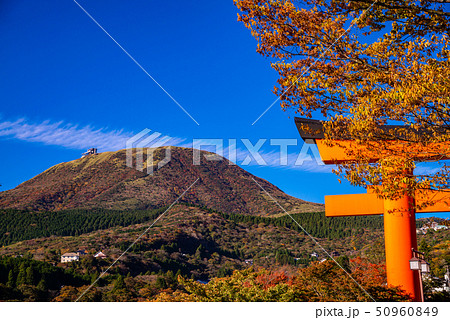 (神奈川県)元箱根の鳥居と駒ヶ岳 紅葉 (神奈川県)元箱根の鳥居と駒ヶ岳 紅葉 50960849