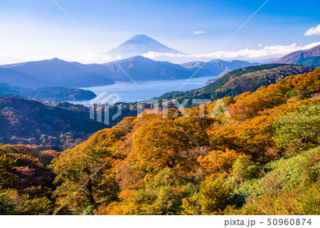（神奈川県）紅葉の箱根大観山から富士山 50960874