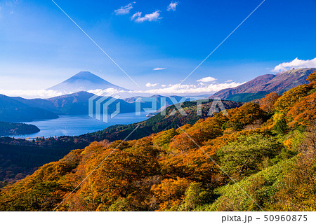 (神奈川県)紅葉の箱根大観山から富士山 (神奈川県)紅葉の箱根大観山から富士山 50960875