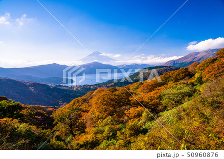 （神奈川県）紅葉の箱根大観山から富士山 50960876