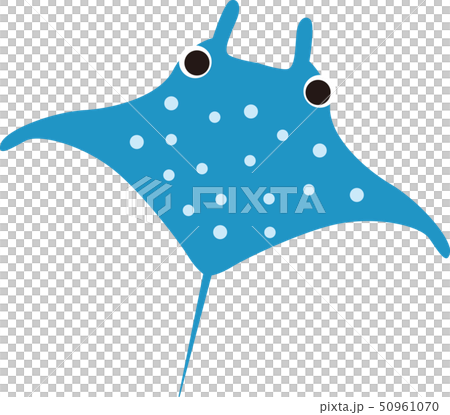 Manta 50961070