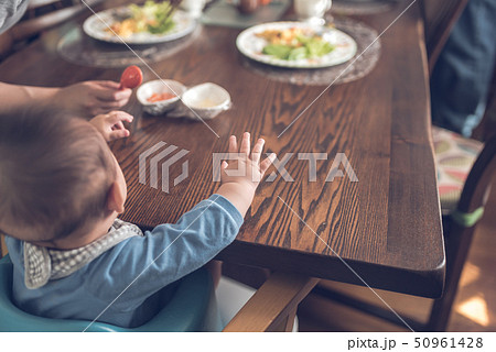 ライフスタイル ライフスタイル 50961428