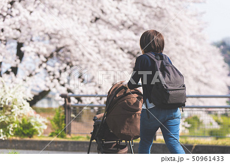 ライフスタイル ライフスタイル 50961433