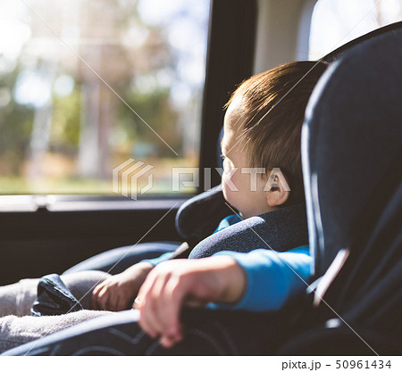ライフスタイル ライフスタイル 50961434