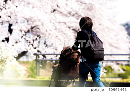 ライフスタイル 50961441