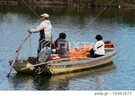 矢切の渡し 50961677